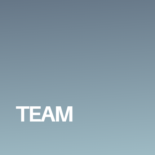 Team